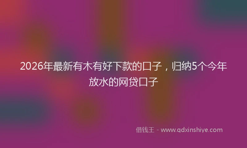 2026年最新有木有好下款的口子，归纳5个今年放水的网贷口子