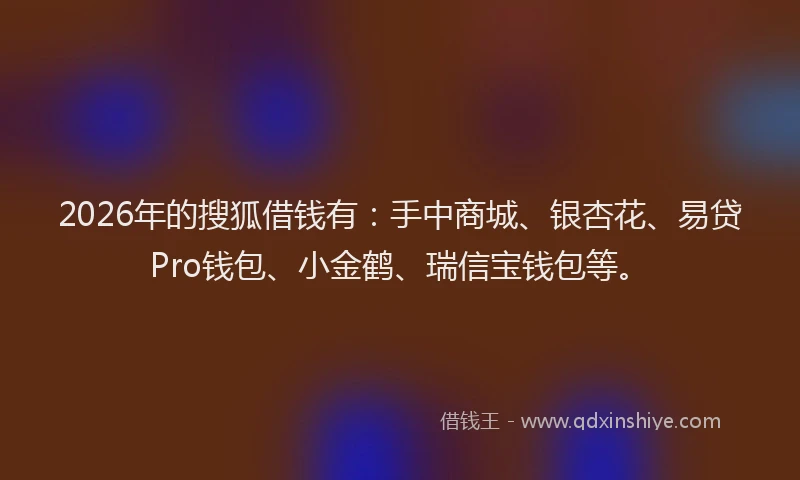 2026年的搜狐借钱有：手中商城、银杏花、易贷Pro钱包、小金鹤、瑞信宝钱包等。