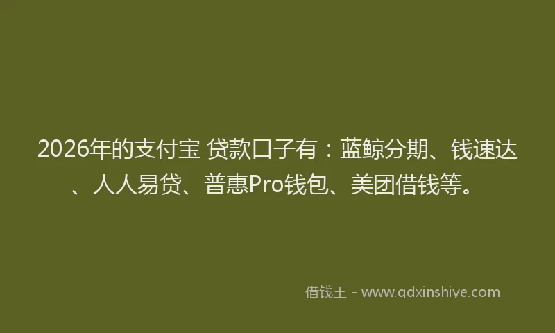 2026年的支付宝 贷款口子有：蓝鲸分期、钱速达、人人易贷、普惠Pro钱包、美团借钱等。