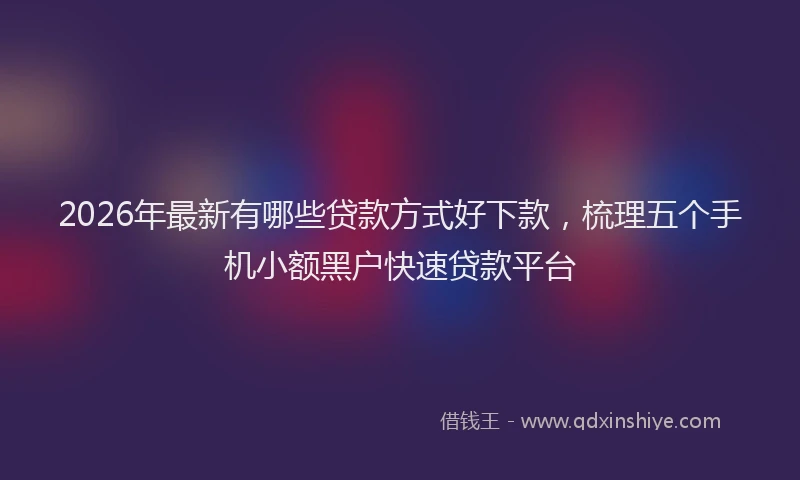 2026年最新有哪些贷款方式好下款，梳理五个手机小额黑户快速贷款平台