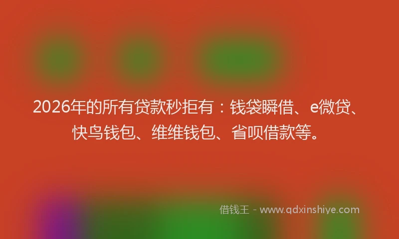 2026年的所有贷款秒拒有：钱袋瞬借、e微贷、快鸟钱包、维维钱包、省呗借款等。