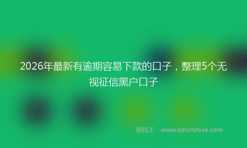 2026年最新有逾期容易下款的口子，整理5个无视征信黑户口子