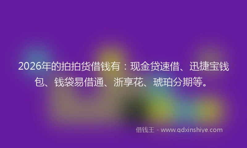 2026年的拍拍货借钱有：现金贷速借、迅捷宝钱包、钱袋易借通、浙享花、琥珀分期等。