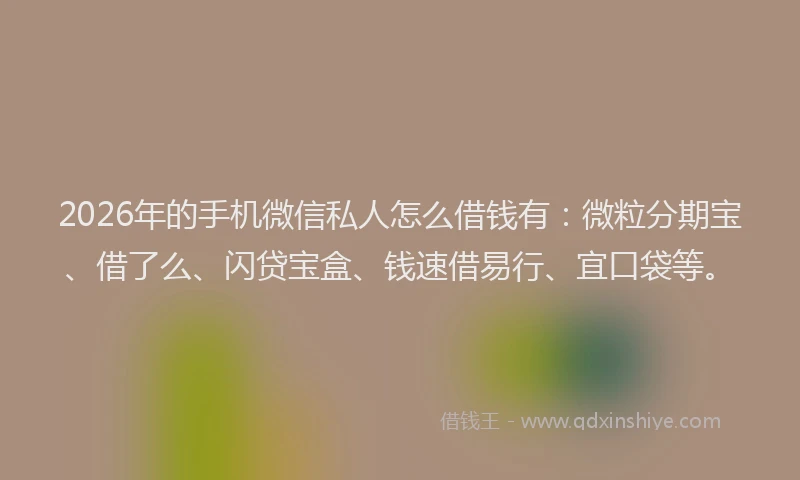 2026年的手机微信私人怎么借钱有：微粒分期宝、借了么、闪贷宝盒、钱速借易行、宜口袋等。
