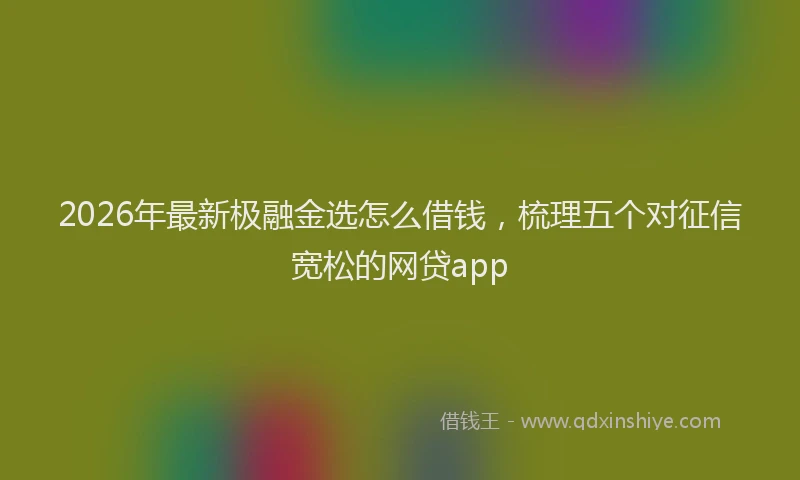 2026年最新极融金选怎么借钱，梳理五个对征信宽松的网贷app
