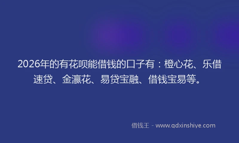 2026年的有花呗能借钱的口子有：橙心花、乐借速贷、金瀛花、易贷宝融、借钱宝易等。