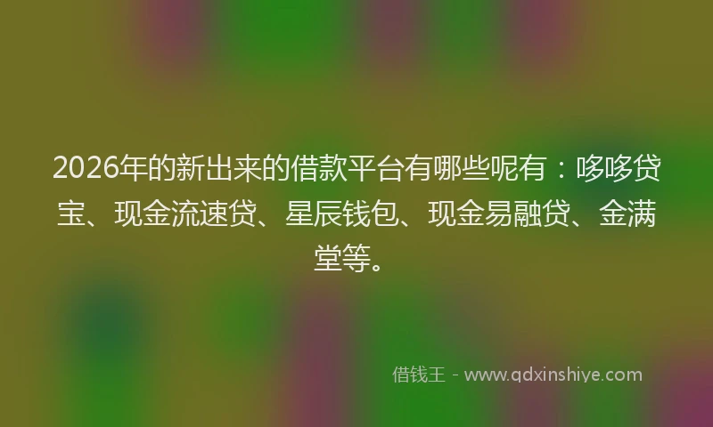 2026年的新出来的借款平台有哪些呢有：哆哆贷宝、现金流速贷、星辰钱包、现金易融贷、金满堂等。