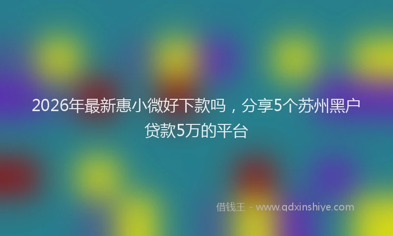 2026年最新惠小微好下款吗，分享5个苏州黑户贷款5万的平台