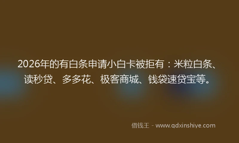 2026年的有白条申请小白卡被拒有：米粒白条、读秒贷、多多花、极客商城、钱袋速贷宝等。