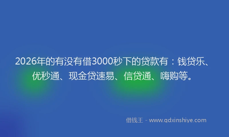 2026年的有没有借3000秒下的贷款有：钱贷乐、优秒通、现金贷速易、信贷通、嗨购等。