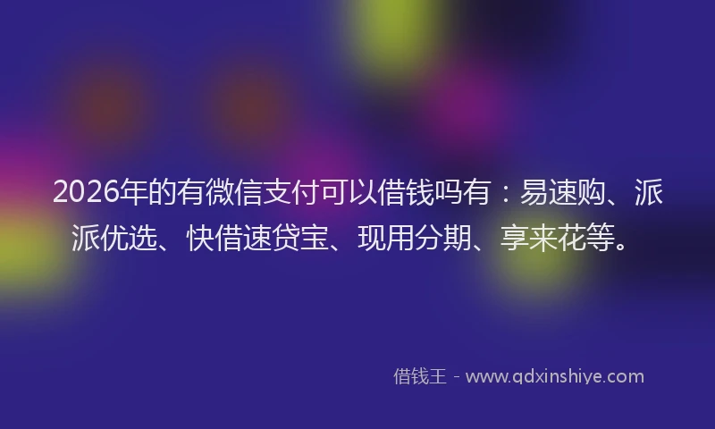 2026年的有微信支付可以借钱吗有：易速购、派派优选、快借速贷宝、现用分期、享来花等。