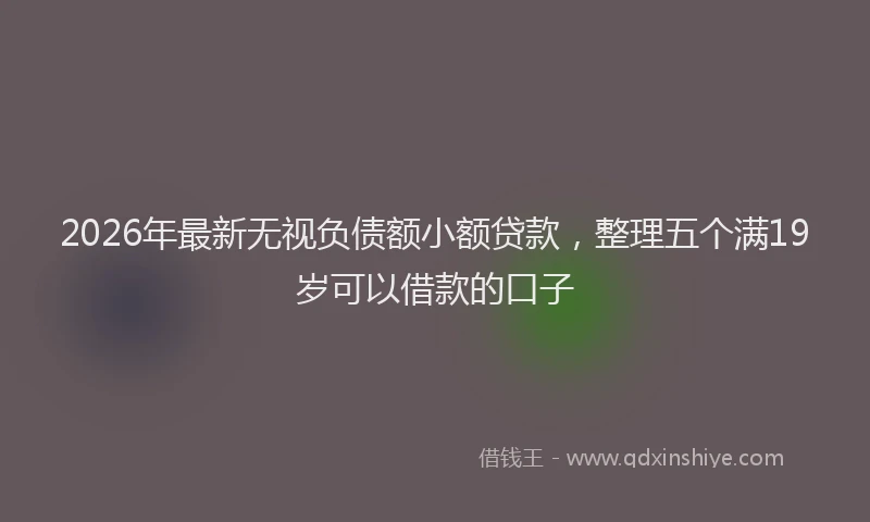 2026年最新无视负债额小额贷款，整理五个满19岁可以借款的口子