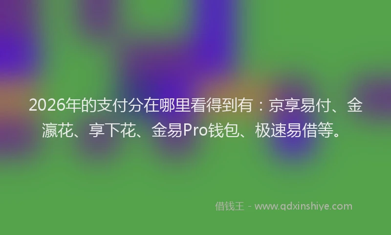 2026年的支付分在哪里看得到有：京享易付、金瀛花、享下花、金易Pro钱包、极速易借等。