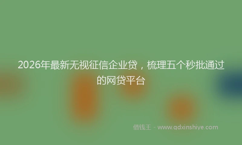 2026年最新无视征信企业贷，梳理五个秒批通过的网贷平台