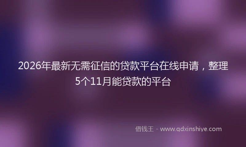 2026年最新无需征信的贷款平台在线申请，整理5个11月能贷款的平台