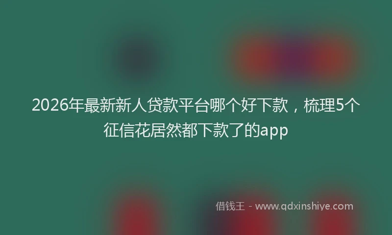 2026年最新新人贷款平台哪个好下款，梳理5个征信花居然都下款了的app