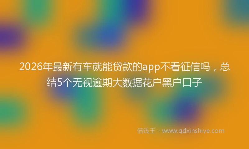 2026年最新有车就能贷款的app不看征信吗，总结5个无视逾期大数据花户黑户口子