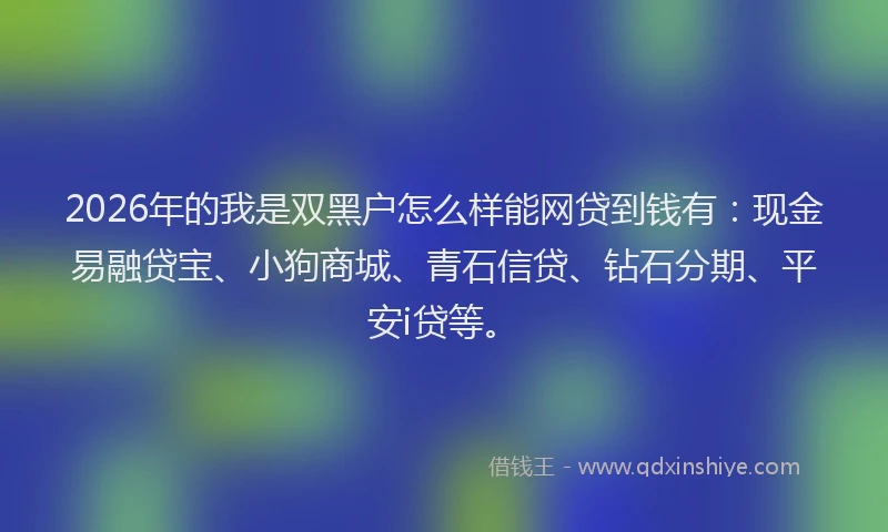 2026年的我是双黑户怎么样能网贷到钱有：现金易融贷宝、小狗商城、青石信贷、钻石分期、平安i贷等。