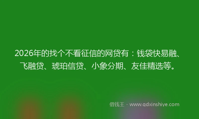 2026年的找个不看征信的网贷有：钱袋快易融、飞融贷、琥珀信贷、小象分期、友佳精选等。