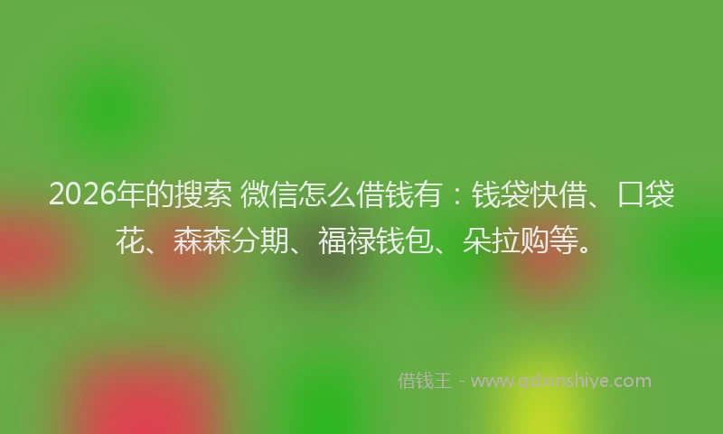 2026年的搜索 微信怎么借钱有：钱袋快借、口袋花、森森分期、福禄钱包、朵拉购等。