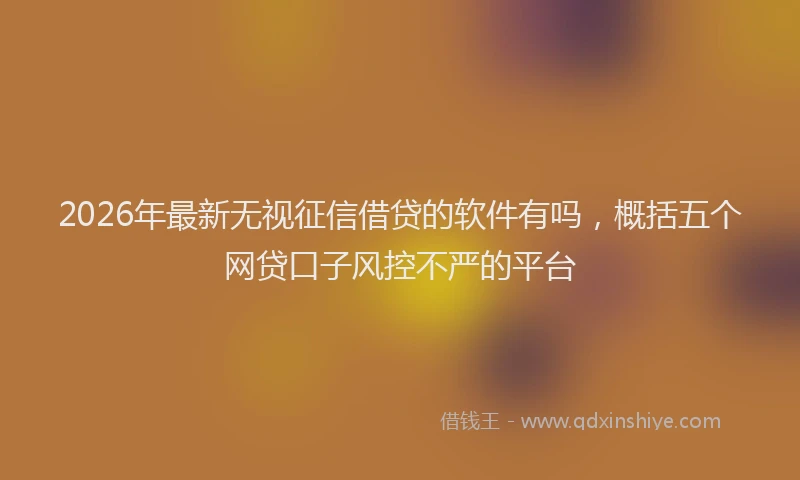 2026年最新无视征信借贷的软件有吗，概括五个网贷口子风控不严的平台
