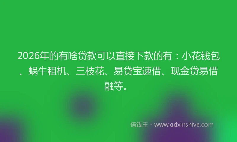 2026年的有啥贷款可以直接下款的有：小花钱包、蜗牛租机、三枝花、易贷宝速借、现金贷易借融等。