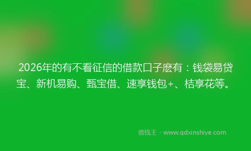 2026年的有不看征信的借款口子麽有：钱袋易贷宝、新机易购、甄宝借、速享钱包+、桔享花等。