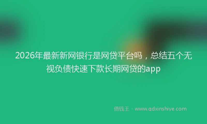 2026年最新新网银行是网贷平台吗，总结五个无视负债快速下款长期网贷的app