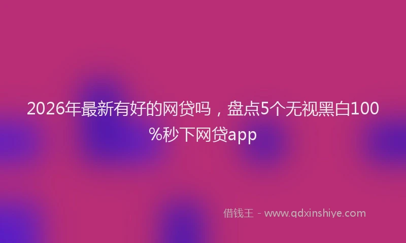 2026年最新有好的网贷吗，盘点5个无视黑白100%秒下网贷app