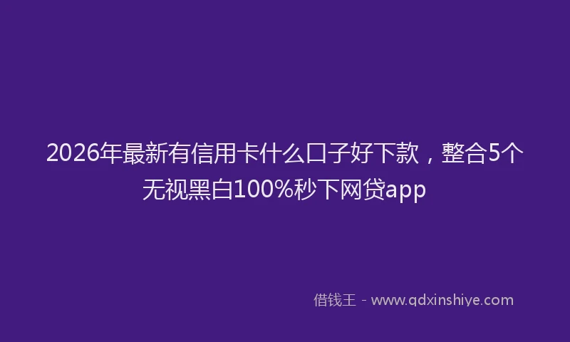 2026年最新有信用卡什么口子好下款，整合5个无视黑白100%秒下网贷app