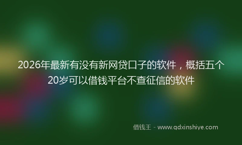 2026年最新有没有新网贷口子的软件，概括五个20岁可以借钱平台不查征信的软件