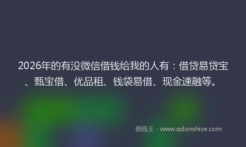 2026年的有没微信借钱给我的人有：借贷易贷宝、甄宝借、优品租、钱袋易借、现金速融等。