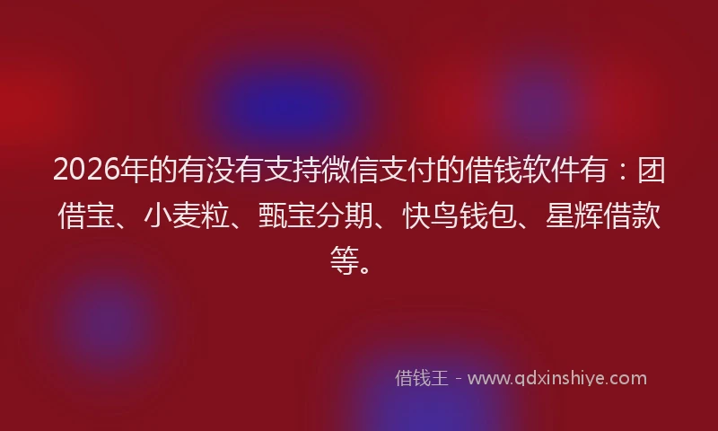 2026年的有没有支持微信支付的借钱软件有：团借宝、小麦粒、甄宝分期、快鸟钱包、星辉借款等。