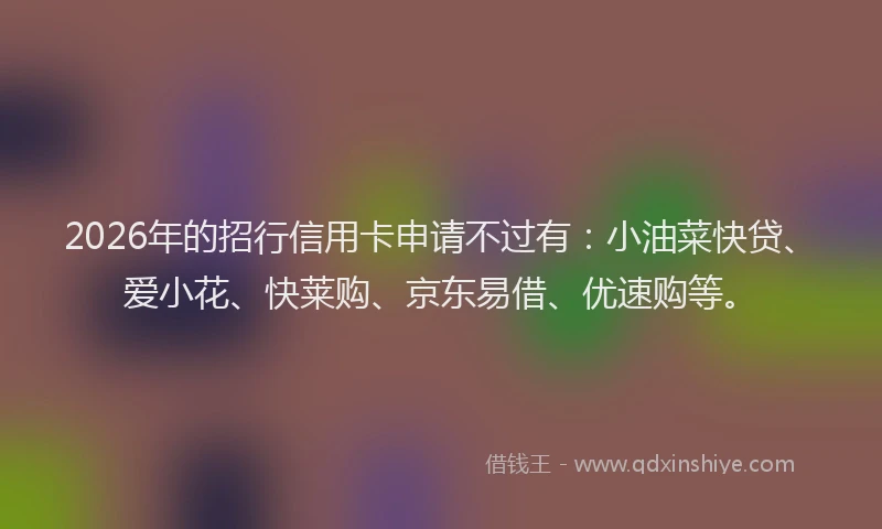 2026年的招行信用卡申请不过有：小油菜快贷、爱小花、快莱购、京东易借、优速购等。