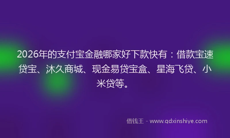 2026年的支付宝金融哪家好下款快有：借款宝速贷宝、沐久商城、现金易贷宝盒、星海飞贷、小米贷等。