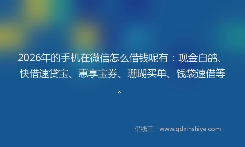 2026年的手机在微信怎么借钱呢有：现金白鸽、快借速贷宝、惠享宝券、珊瑚买单、钱袋速借等。
