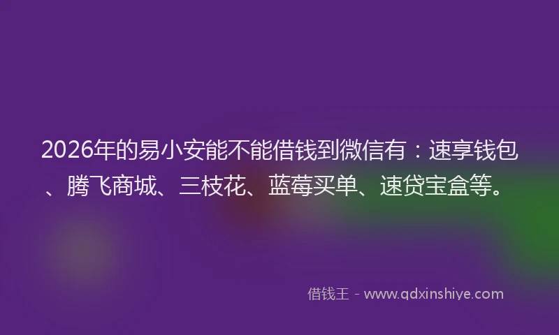 2026年的易小安能不能借钱到微信有：速享钱包、腾飞商城、三枝花、蓝莓买单、速贷宝盒等。