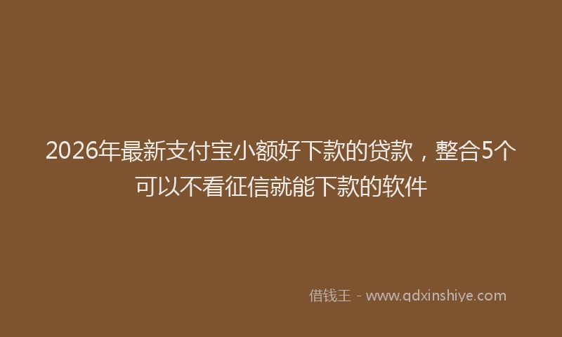 2026年最新支付宝小额好下款的贷款，整合5个可以不看征信就能下款的软件