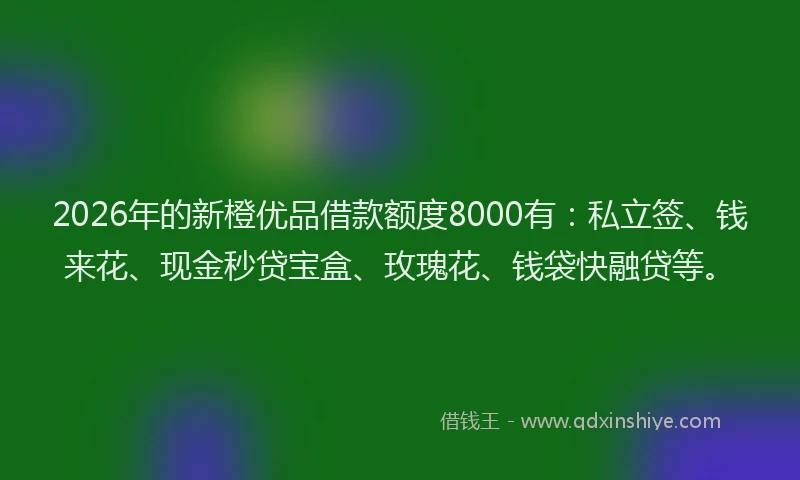 2026年的新橙优品借款额度8000有：私立签、钱来花、现金秒贷宝盒、玫瑰花、钱袋快融贷等。