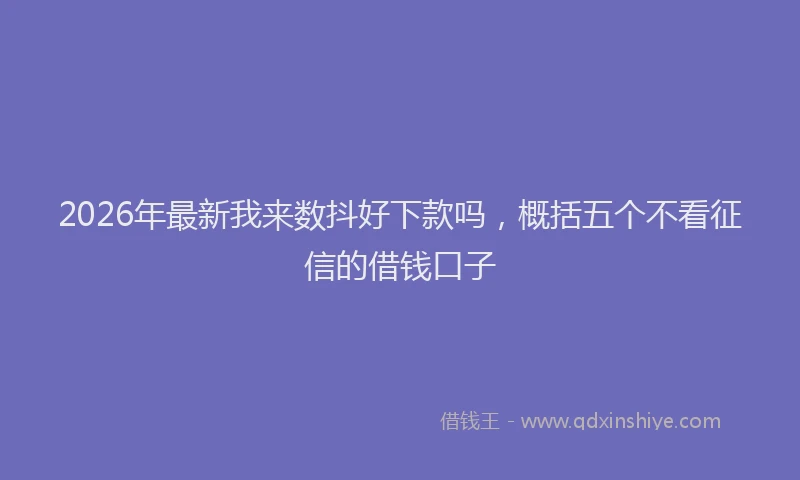 2026年最新我来数抖好下款吗，概括五个不看征信的借钱口子