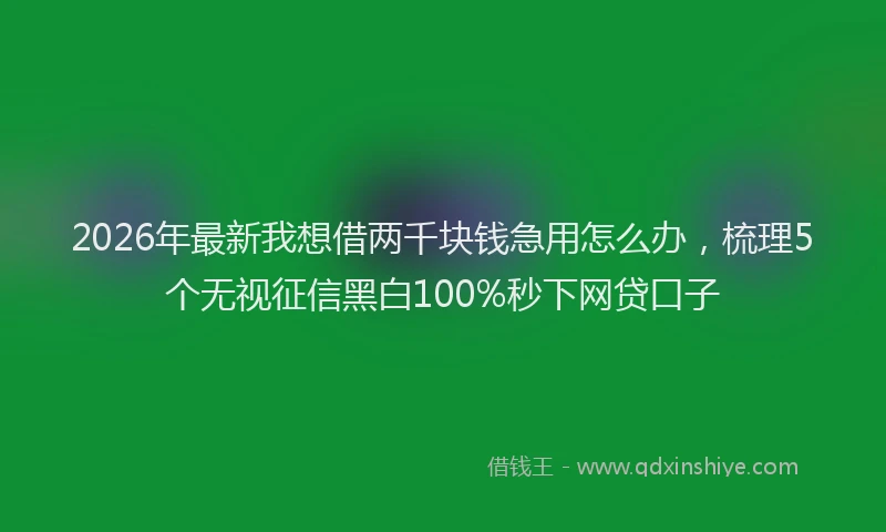 2026年最新我想借两千块钱急用怎么办，梳理5个无视征信黑白100%秒下网贷口子