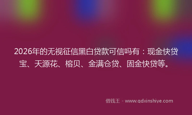 2026年的无视征信黑白贷款可信吗有：现金快贷宝、天源花、榕贝、金满仓贷、固金快贷等。