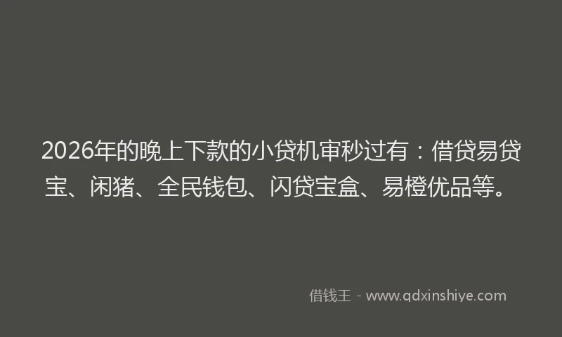 2026年的晚上下款的小贷机审秒过有：借贷易贷宝、闲猪、全民钱包、闪贷宝盒、易橙优品等。