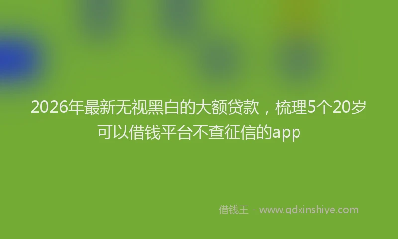 2026年最新无视黑白的大额贷款,梳理5个20岁可以借钱平台不查征信的app