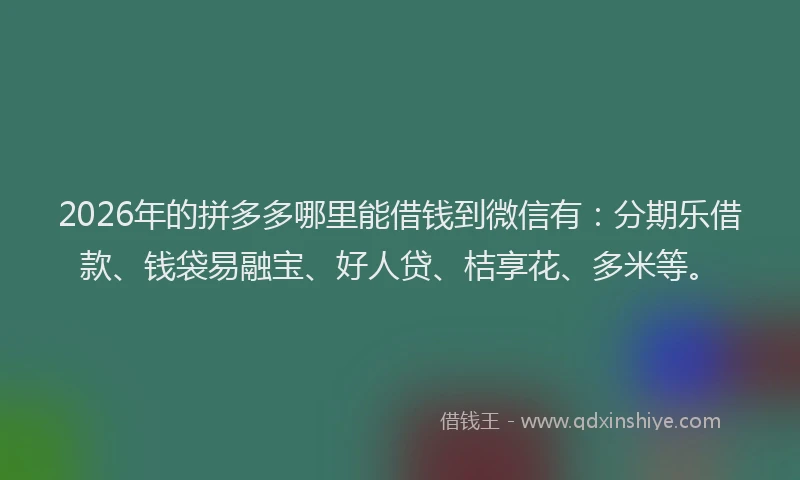 2026年的拼多多哪里能借钱到微信有：分期乐借款、钱袋易融宝、好人贷、桔享花、多米等。