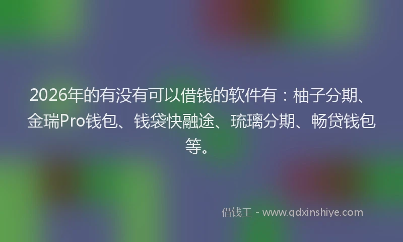 2026年的有没有可以借钱的软件有：柚子分期、金瑞Pro钱包、钱袋快融途、琉璃分期、畅贷钱包等。