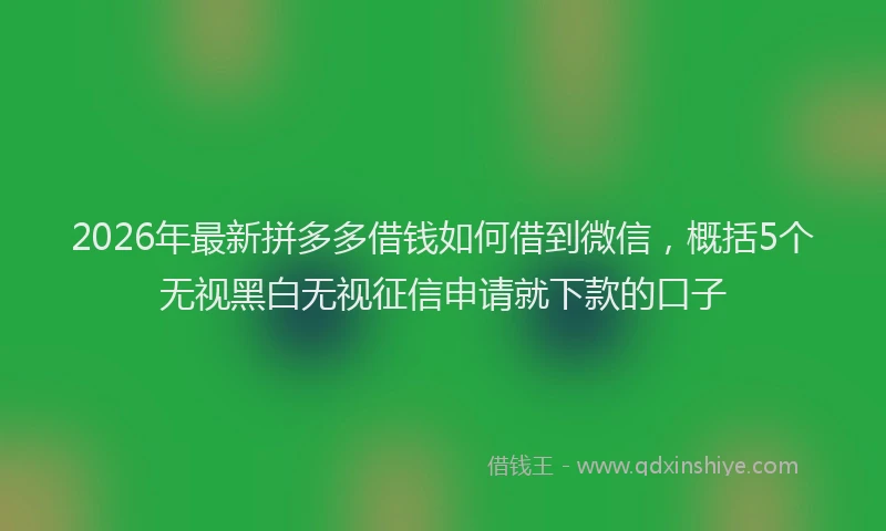 2026年最新拼多多借钱如何借到微信，概括5个无视黑白无视征信申请就下款的口子