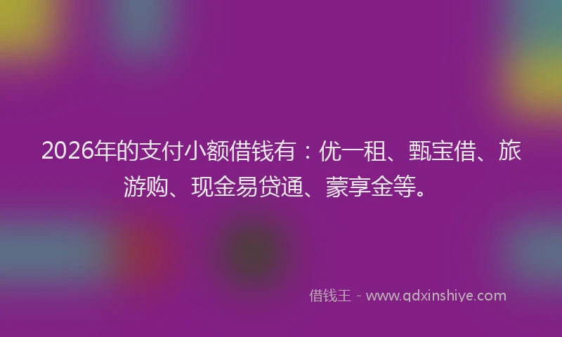 2026年的支付小额借钱有：优一租、甄宝借、旅游购、现金易贷通、蒙享金等。
