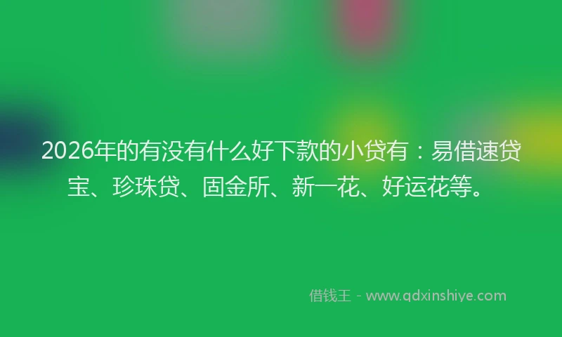 2026年的有没有什么好下款的小贷有：易借速贷宝、珍珠贷、固金所、新一花、好运花等。