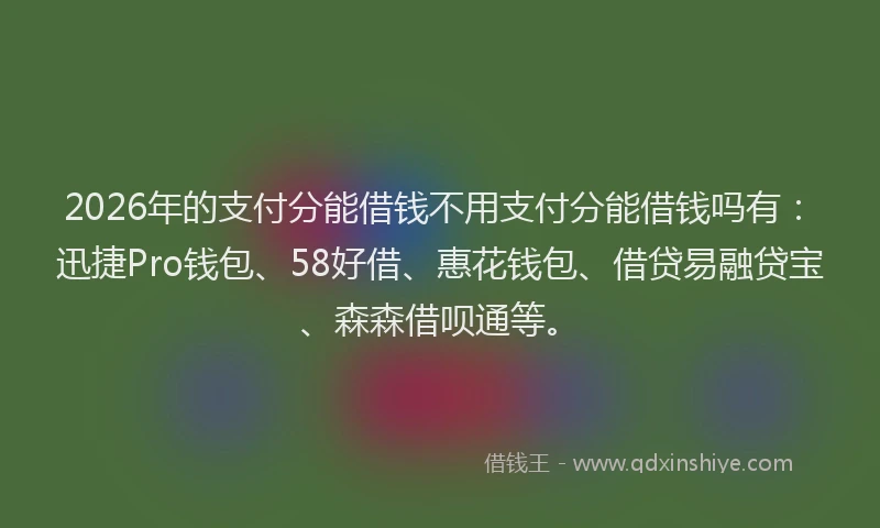 2026年的支付分能借钱不用支付分能借钱吗有：迅捷Pro钱包、58好借、惠花钱包、借贷易融贷宝、森森借呗通等。